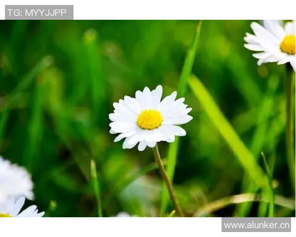 深度对话:张敏如何在排球赛场上书写传奇人生与奋斗故事 深度对话:张敏如何在排球赛场上书写传奇人生与奋斗故事